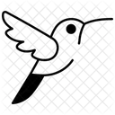 Kolibri  Symbol