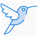 Kolibri  Symbol