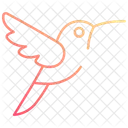 Kolibri  Symbol