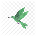 Tropisch Vogel Kolibri Symbol