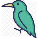 Kolibri Tukan Vogel Symbol