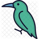 Kolibri Tukan Vogel Symbol