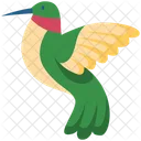 Kolibri Vogel Zoologie Symbol