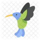 Kolibri Vogel Tier Symbol