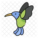 Kolibri Vogel Tier Symbol