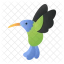 Kolibri Vogel Tier Symbol