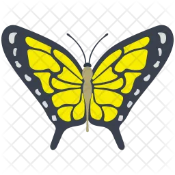 Komma-Schmetterling  Symbol