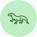 Komodowaran Komodowaran Reptil Symbol