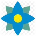 Komplexe Blume  Symbol