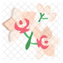 Konigin Der Nacht Blume Blute Icon