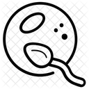 Konzeption  Symbol