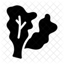 Kopfsalat  Symbol