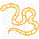 Korallenschlange Icon