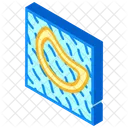 Korallen Wasser Isometrisch Icon