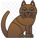 Korat  Icon