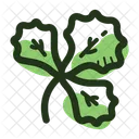 Korianderblatt  Symbol