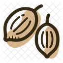 Koriandersamen  Symbol