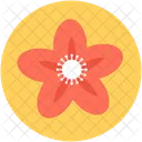 Kousa Dogwood Flower Icon