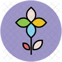 Kousa Dogwood Flower Icon