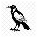 Krahe Vogel Halloween Symbol