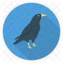 Krahe Vogel Halloween Symbol