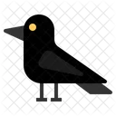 Krahe Vogel Halloween Horror Gruselig Symbol