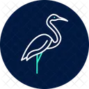 Kran Vogel Waten Symbol