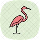 Kran Vogel Waten Symbol