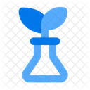 Krauterexperiment Pflanzenexperiment Krauter Symbol