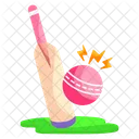 Kricket  Symbol