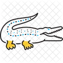 Krokodil Crocodylus Krokodil Symbol