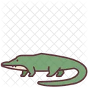 Krokodil  Symbol