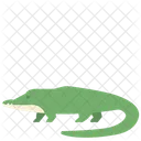 Krokodil  Symbol