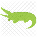 Krokodil Alligator Tierwelt Symbol