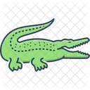 Krokodil Crocodylus Krokodil Symbol