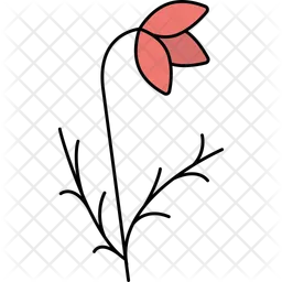 Krokusblüte  Symbol