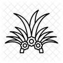 Krone  Symbol