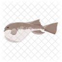 Kugelfisch Kugelfisch Fisch Symbol