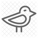 Küken  Symbol