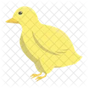 Kuken Huhn Tier Symbol