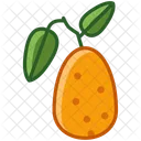 Kumkvat Fruit Fit Icon