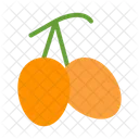 Kumquat Fruit Organic Icon