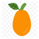 Kumquat Fruit Organic Icon