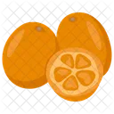 Kumquat Lime Lemon Icon