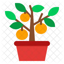 Kumquat Tree  Icon