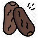 Kurma  Icon