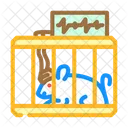 Lab Rat Genetic Icon