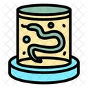 Lab Test Laboratory Research Icon