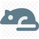 Laboratory Mouse  Icon