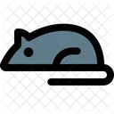 Laboratory Mouse  Icon